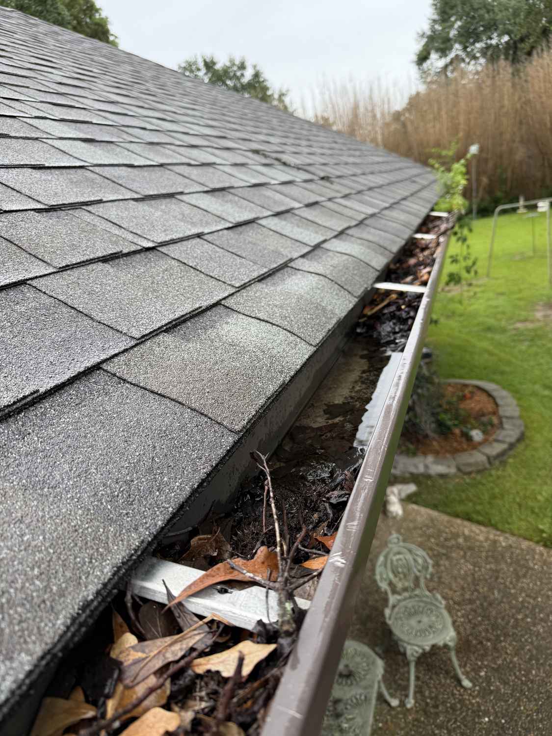 Gutter packed with rotted leaves and standing water before cleaning